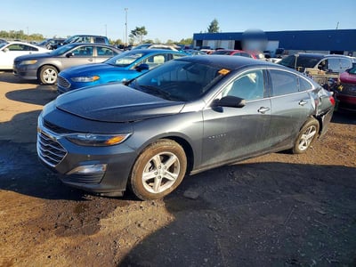 1G1ZB5ST7KF****** 2019 Chevrolet Malibu