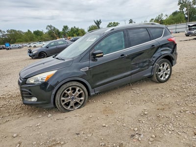 1FMCU0JXXEU****** 2014 Ford Escape