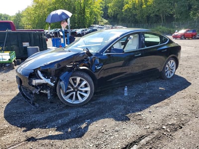 5YJ3E1EB5KF****** 2019 Tesla Model 3