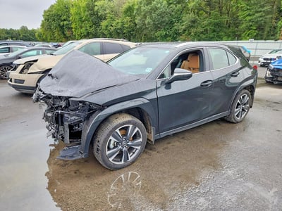 JTHUCJDH9S2****** 2025 Lexus UX 300h