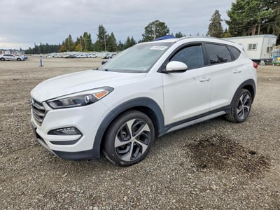 KM8J33A26HU****** 2017 Hyundai Tucson