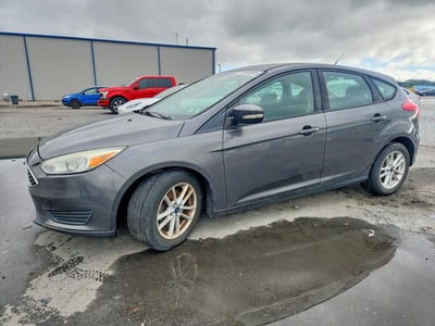 1FADP3K27FL****** 2015 Ford Focus