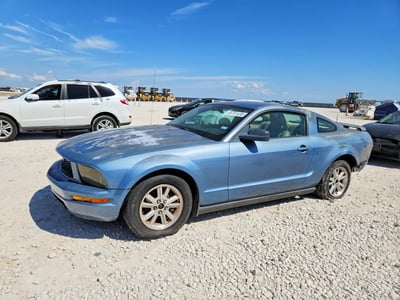1ZVFT80N965****** 2006 Ford Mustang