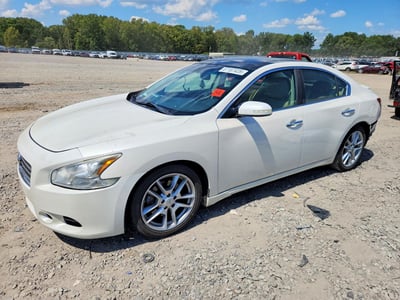 1N4AA5AP2AC****** 2010 Nissan Maxima