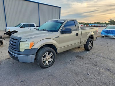 1FTRF12W89K****** 2009 Ford F-150