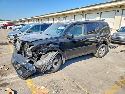 5FNYF48599B****** 2009 Honda Pilot