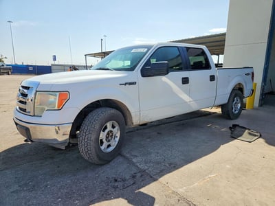 1FTRW14889F****** 2009 Ford F-150