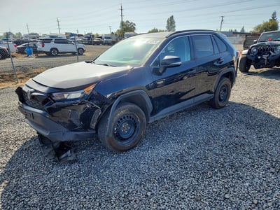2T3G1RFV0KW****** 2019 Toyota RAV4