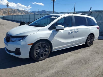 5FNRL6H80SB****** 2025 Honda Odyssey