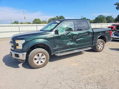 1FTEW1EG4FF****** 2015 Ford F-150