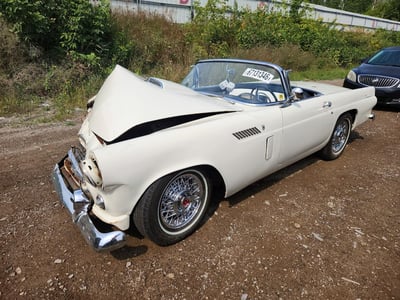 P6FH19**** 1956 Ford Thunderbird