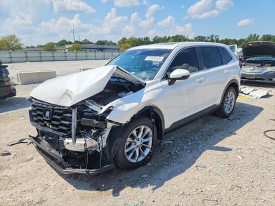 2HKRS4H40RH****** 2024 Honda CR-V