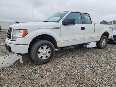 1FTFX1EF7BF****** 2011 Ford F-150