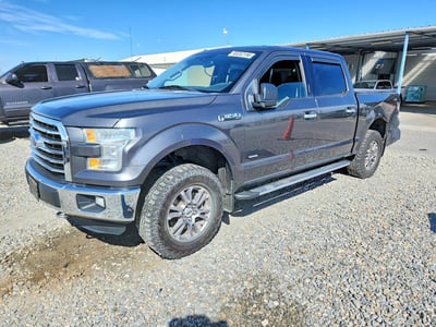 1FTEW1EP2FF****** 2015 Ford F-150