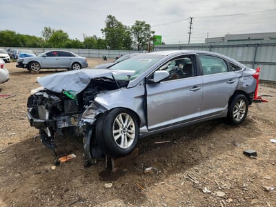 5NPE24AFXGH****** 2016 Hyundai Sonata