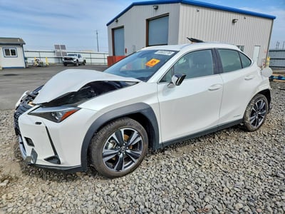 JTHL9JBH9M2****** 2021 Lexus UX 250h