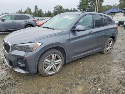 WBXJG9C03L5****** 2020 BMW X1