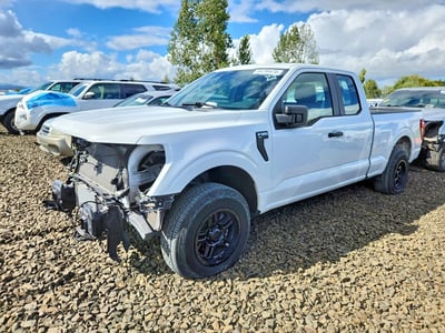 1FTEX1LP1RK****** 2024 Ford F-150