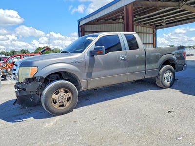 1FTRX12889F****** 2009 Ford F-150