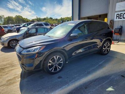 1FMCU9G63MU****** 2021 Ford Escape