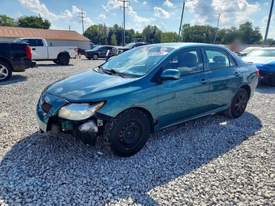 1NXBU4EEXAZ****** 2010 Toyota Corolla