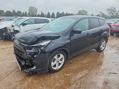 1FMCU0GX8EU****** 2014 Ford Escape