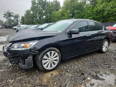 1HGCR3F80FA****** 2015 Honda Accord