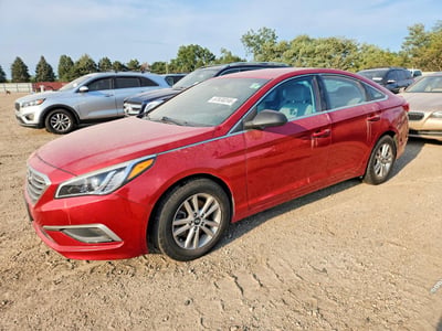 5NPE24AF6HH****** 2017 Hyundai Sonata