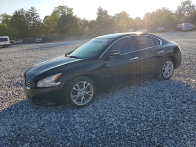 1N4AA5AP1DC****** 2013 Nissan Maxima