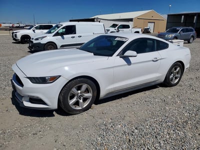 1FA6P8AM4G5****** 2016 Ford Mustang