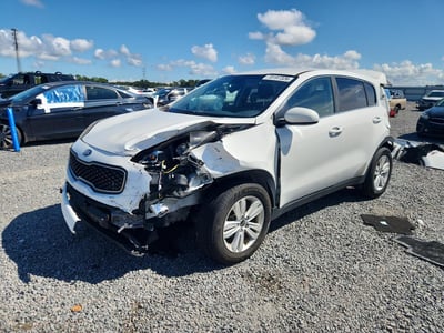 KNDPM3AC8K7****** 2019 Kia Sportage