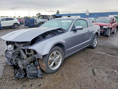 1ZVFT82HX65****** 2006 Ford Mustang