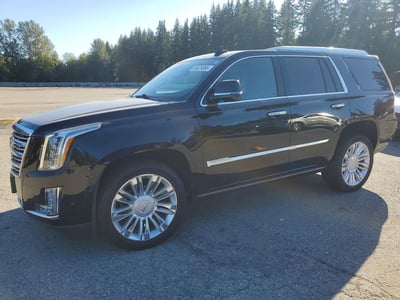 1GYS4DKJ0LR****** 2020 Cadillac Escalade