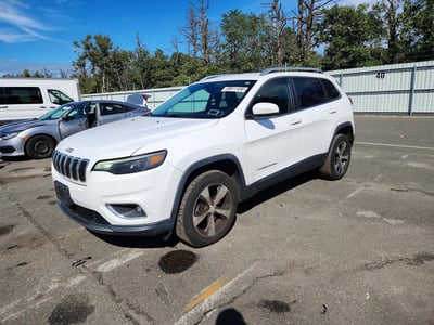 1C4PJMDX9KD****** 2019 Chrysler Cherokee