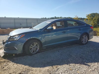5NPE24AF7GH****** 2016 Hyundai Sonata