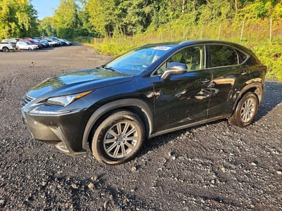 2020 Lexus NX