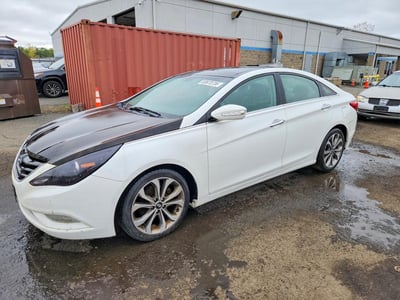 5NPEC4AB7DH****** 2013 Hyundai Sonata