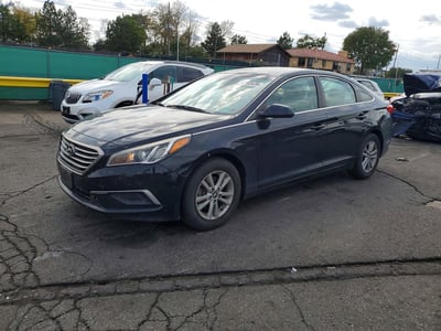 5NPE24AF2GH****** 2016 Hyundai Sonata