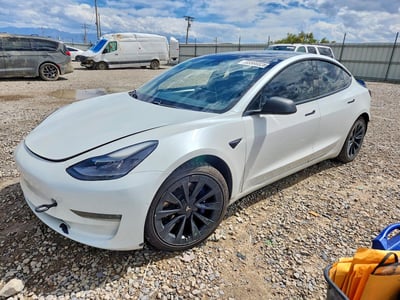 5YJ3E1EB7MF****** 2021 Tesla Model 3