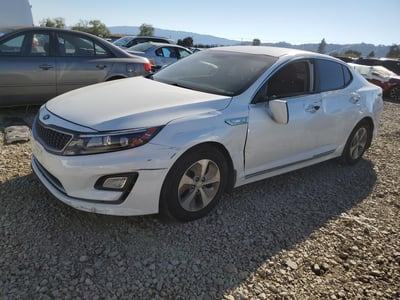 KNAGM4AD8G5****** 2016 Kia Optima