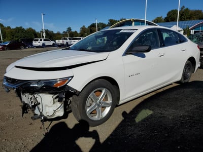 1G1ZB5ST2KF****** 2019 Chevrolet Malibu