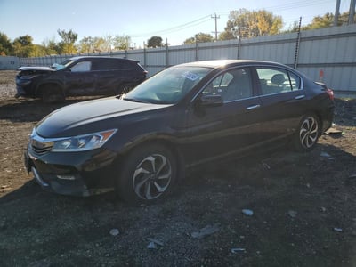 1HGCR3F01GA****** 2016 Honda Accord
