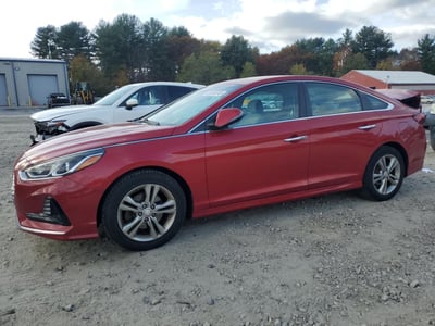 5NPE34AF1JH****** 2018 Hyundai Sonata