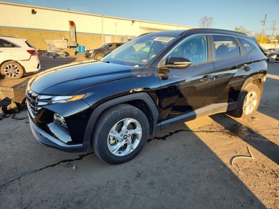 5NMJBCAE4PH****** 2023 Hyundai Tucson