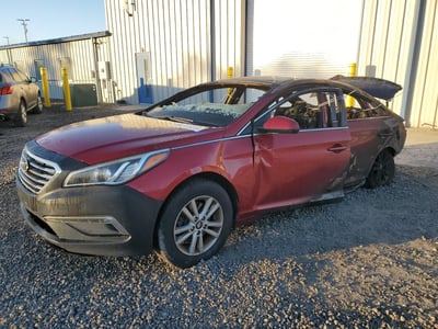 5NPE24AF6FH****** 2015 Hyundai Sonata