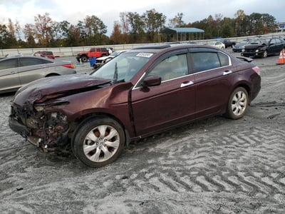 5KBCP3F87AB****** 2010 Honda Accord