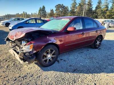 5NPET46C19H****** 2009 Hyundai Sonata