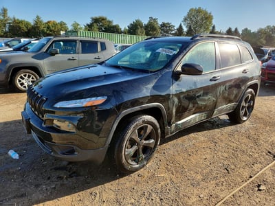 1C4PJMDS2GW****** 2016 Jeep Cherokee