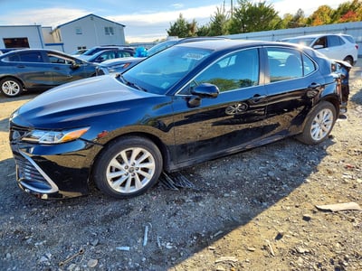 4T1C11AK6MU****** 2021 Toyota Camry