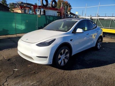 7SAYGAEE8PF****** 2023 Tesla Model Y
